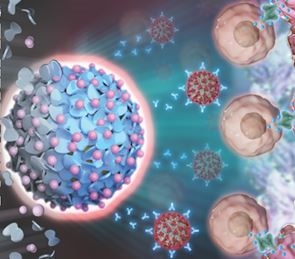 polymers in drug half-life extension