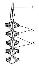 Attachment tmp55-50.jpg