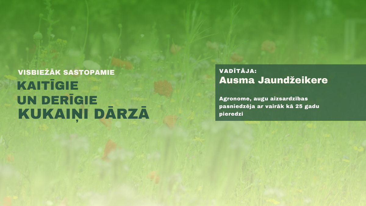 Course Image Visbiežāk sastopamie kaitīgie un derīgie kukaiņi dārzā