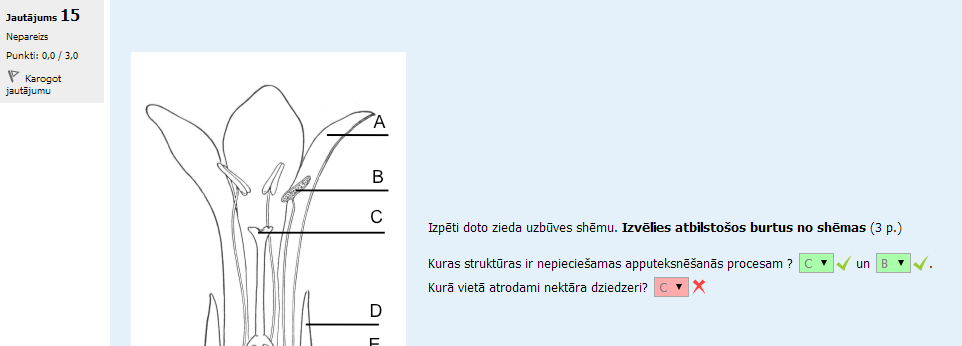 Attachment Bio_cvetok.png