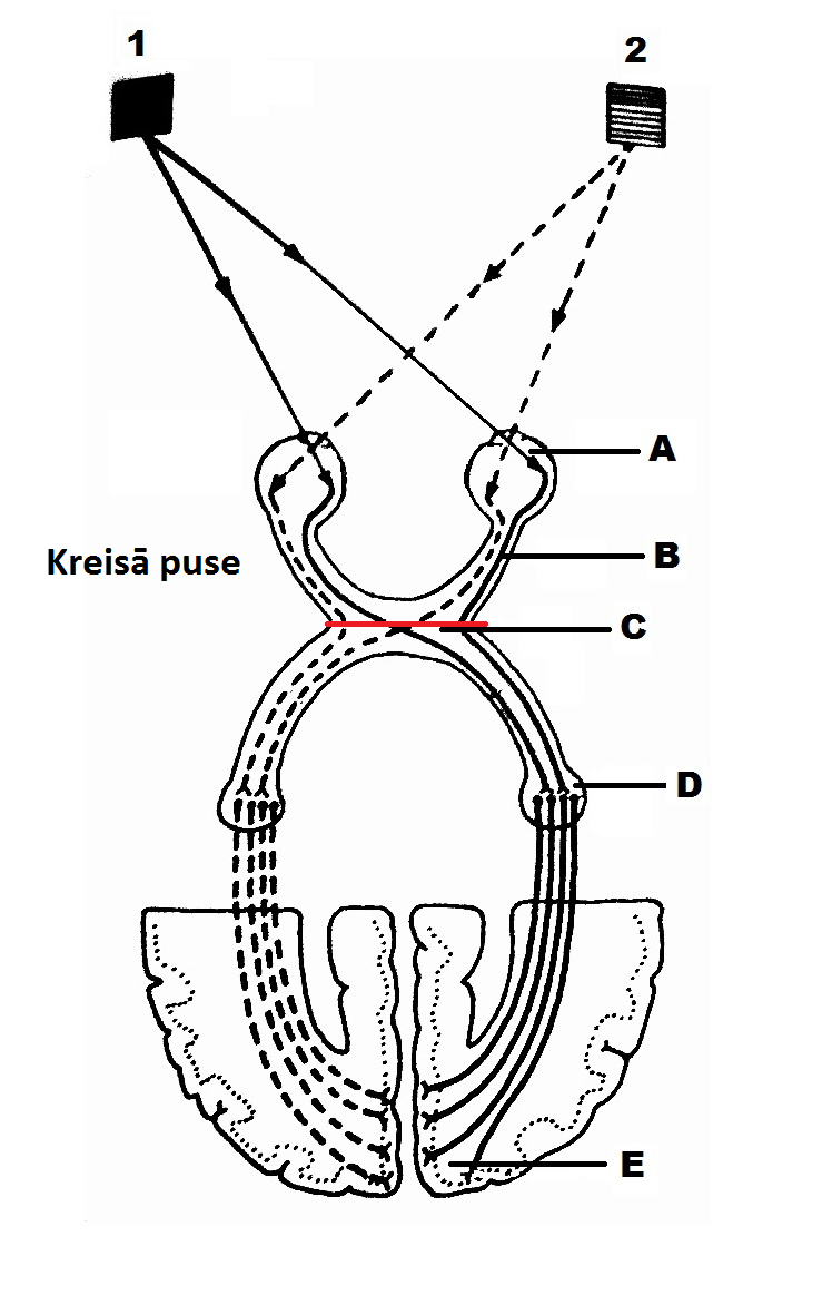 Attachment 12_acs_2.png